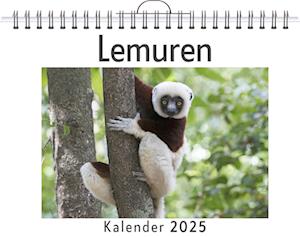 Lemuren