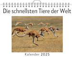 Die schnellsten Tiere der Welt