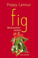 fig ¿ Weihnachtszauber