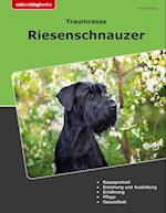 Traumrasse Riesenschnauzer