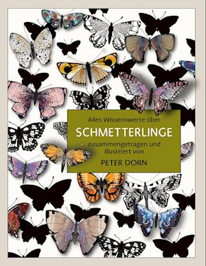 Schmetterlinge