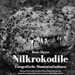 Nilkrokodile