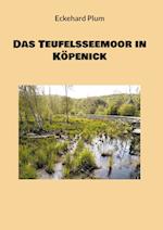 Das Teufelsseemoor in Köpenick