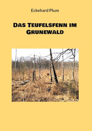 Das Teufelsfenn im Grunewald