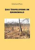 Das Teufelsfenn im Grunewald