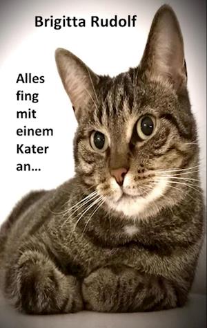 Alles fing mit einem Kater an