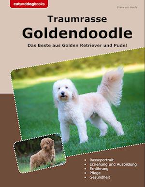 Traumrasse Goldendoodle