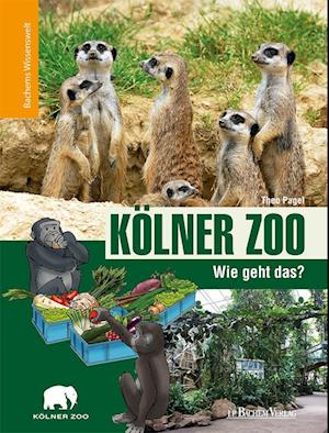 Kölner Zoo - Wie geht das?