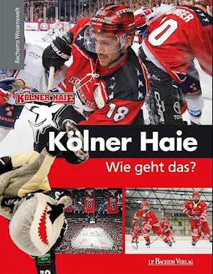 Kölner Haie - Wie geht das?