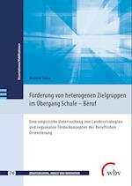 Förderung von heterogenen Zielgruppen im Übergang Schule - Beruf