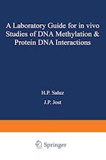 A laboratory guide for in vivo studies of DNA methylation and protein/DNA interactions