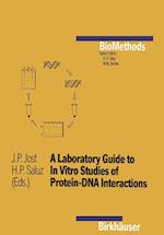 A Laboratory Guide to In Vitro Studies of Protein-DNA Interactions