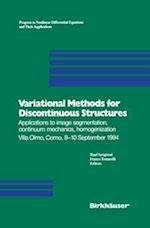 Variational Methods for Discontinuous Structures