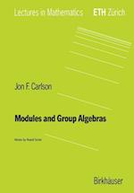 Modules and Group Algebras