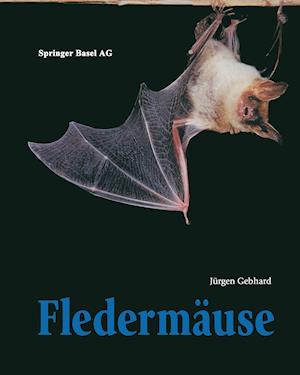 Fledermäuse