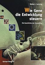 Wie Gene die Entwicklung steuern