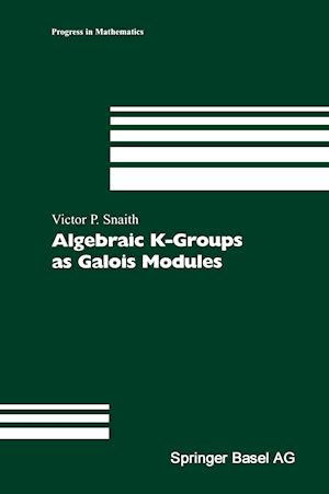 Algebraic K-Groups as Galois Modules