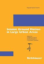 Seismic Ground Motion in Large Urban Areas