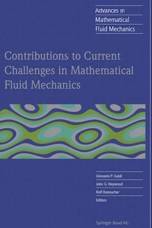 Contributions to Current Challenges in Mathematical Fluid Mechanics