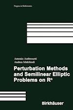 Perturbation Methods and Semilinear Elliptic Problems on R^n