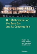 The Mathematics of the Bose Gas and its Condensation
