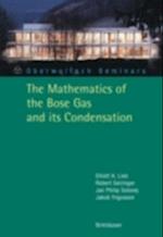 Mathematics of the Bose Gas and its Condensation