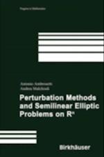 Perturbation Methods and Semilinear Elliptic Problems on R^n