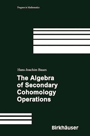 The Algebra of Secondary Cohomology Operations