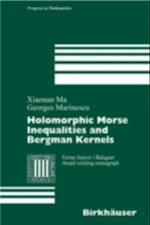 Holomorphic Morse Inequalities and Bergman Kernels