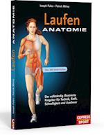 Laufen Anatomie