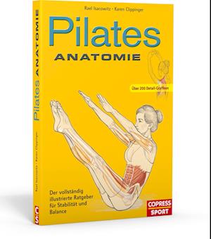 Pilates Anatomie