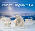 Eisbär, Pinguin & Co.