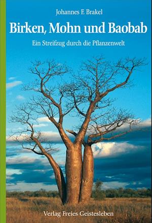 Birken, Mohn und Baobab