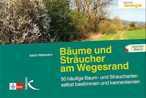 Bäume und Sträucher am Wegesrand