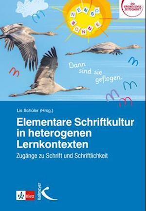 Elementare Schriftkultur in heterogenen Lernkontexten