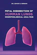 Fetal Dissection of Human Lungs Morphological Analysis