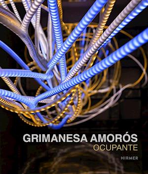 Grimanesa Amorós: Ocupante