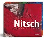 Nitsch: Spaces of Colour