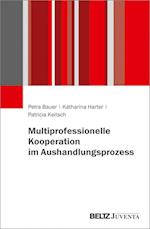 Multiprofessionelle Kooperation im Aushandlungsprozess