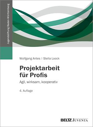 Projektarbeit für Profis