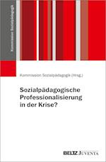 Sozialpädagogische Professionalisierung in der Krise?