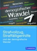 Strafvollzug, Straffälligenhilfe und der demografische Wandel