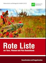 Rote Liste und Gesamtartenliste der Heuschrecken und Fangschrecken (Orthoptera et Mantodea) Deutschlands