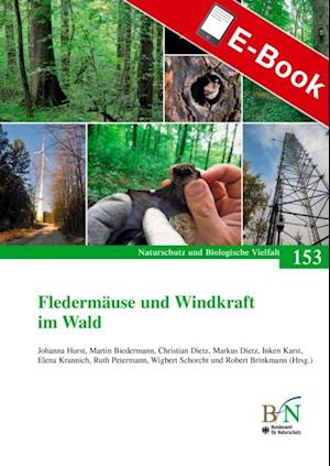 Fledermäuse und Windkraft im Wald