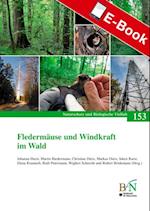 Fledermäuse und Windkraft im Wald