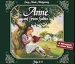 Anne auf Green Gables, Folge 1-4
