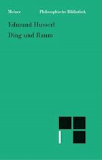 Ding und Raum