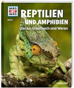 Reptilien und Amphibien. Gecko, Grasfrosch und Waran