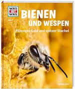 Bienen und Wespen. Flüssiges Gold und spitzer Stachel