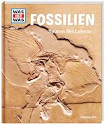 Fossilien. Spuren des Lebens